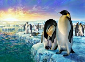Adrian Chesterman's Penguins at the Pole Wall Mural