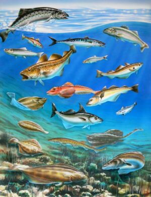 Adrian Chesterman's Sea Fish Wall Mural