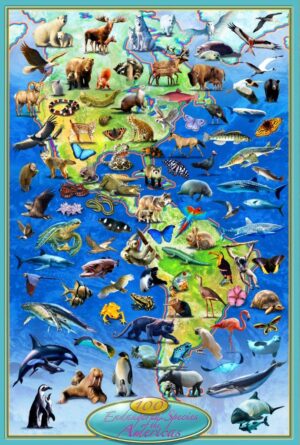 Adrian Chesterman's 100 Endangered Species of America Wall Mural