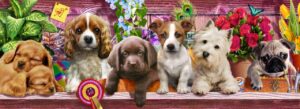 Adrian Chesterman's Puppies on a shelf Wall Mural