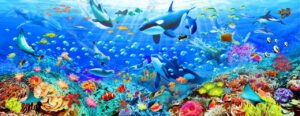 Adrian Chesterman's Underwater Panorama Wall Mural