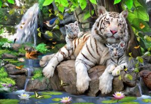 Howard Robinson's White Tigers of Bengal Wall Mural