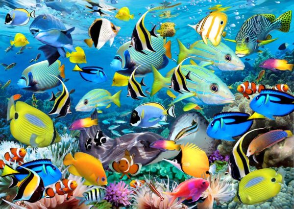 Howard Robinson's Reef Life Wall Mural