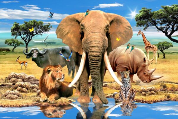 Howard Robinson's South Africa Big 5 Wall Mural