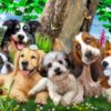Howard Robinson's Puppy Pals Wall Mural