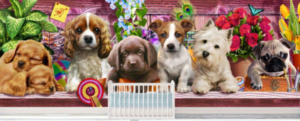 Adrian Chesterman's Cute Puppies On The Shelf Wall Mural - Image 2