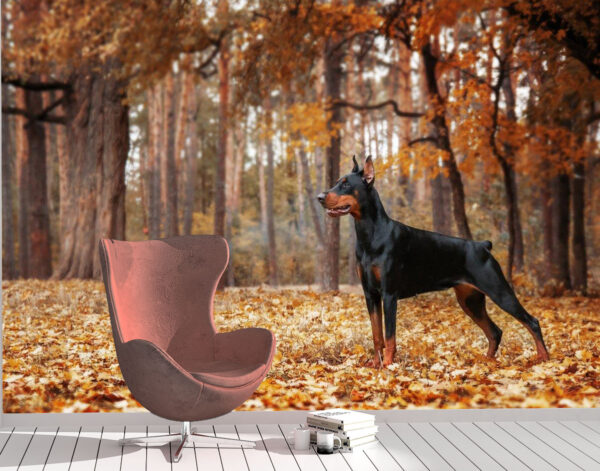 Attractive Black Doberman Wall Mural