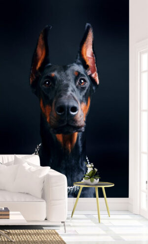 Beautiful Doberman Wall Mural