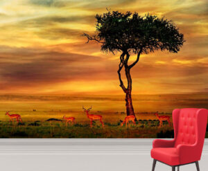 Beautiful Impala at Africa Wall Mural