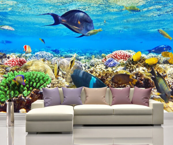 Beautiful Reef in Egypt Wall Mural