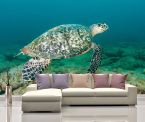 Beautiful Turtle Floating Wall Mural