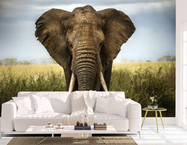 Big African Elephant in the Grasslands Wall Mural