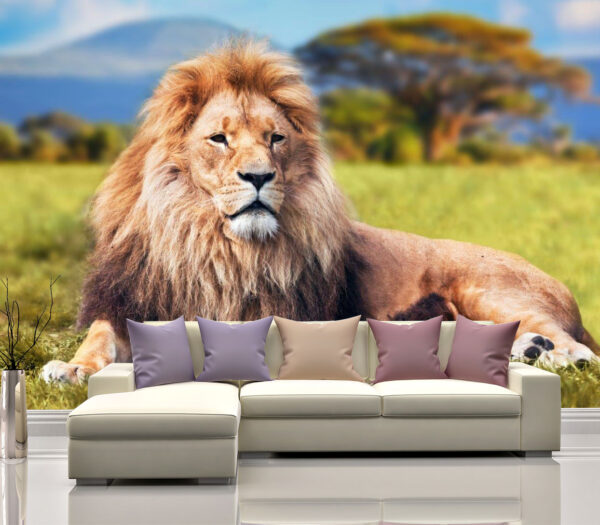 Big Lion Lying on Grass Wall Mural