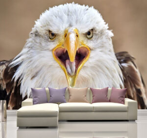 Bold Bald Eagle Screeching Wall Mural