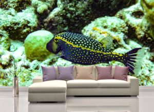 Calm Box-fish Wall Mural