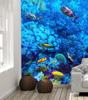 Bright Coral and Fish Wall Mural