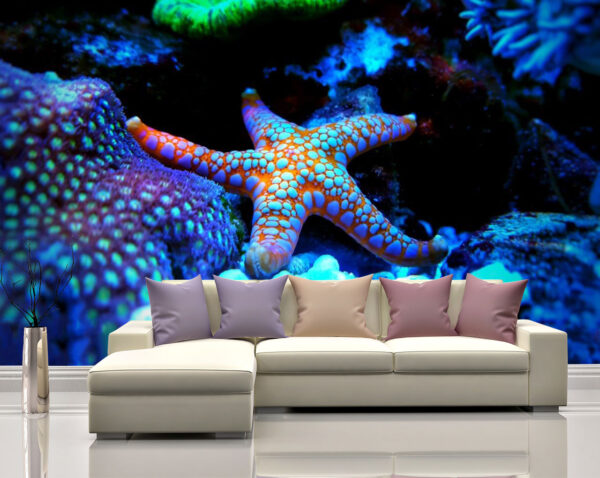 Bright Fromm Starfish Wall Mural