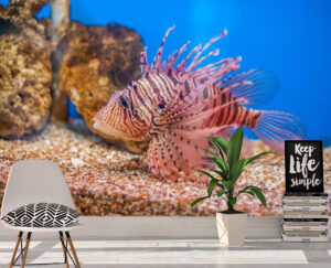 Bright Lion Fish Wall Mural