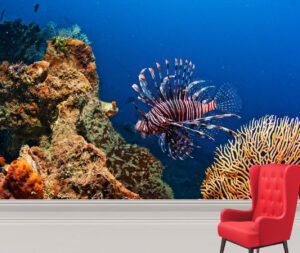 Bright Red Coral Fish Wall Mural
