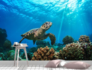 Calm Turtle Swimming Wall Mural