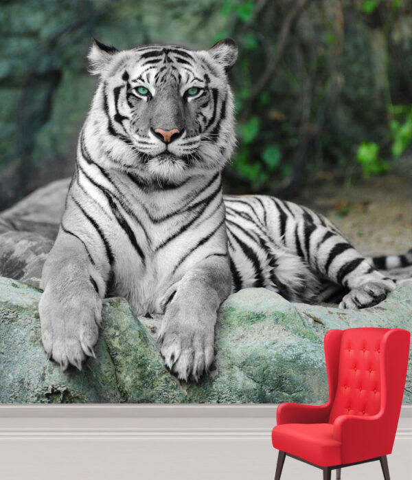 Calm White Asian Tiger Wall Mural