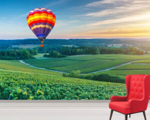 Colorful Beautiful Hot Air Balloons Wall Mural