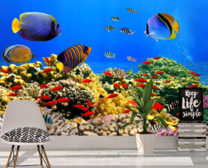 Colorful Coral Colony on Reef Wall MuralColorful Coral Colony on Reef Wall Mural