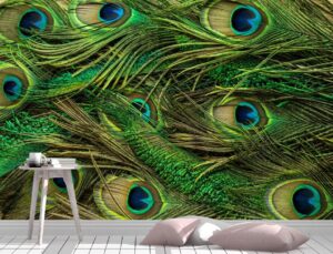 Colorful Peacock Feathers Wall Mural