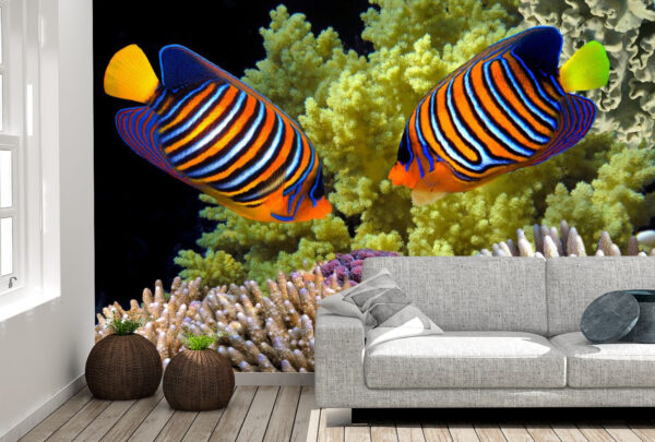 Colorful Regal Angelfish Wall Mural