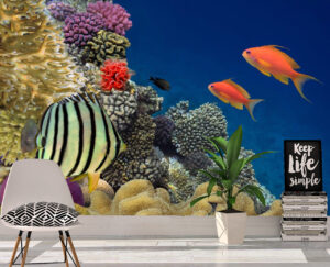 Cool Exotic Fishes Wall Mural