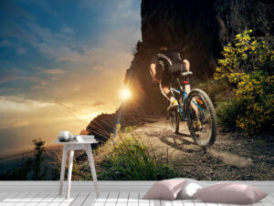 Cyclist Riding Mountain Bike Wall Mural