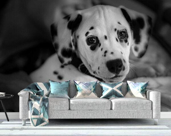 Fair Dalmatian Puppy Wall Mural