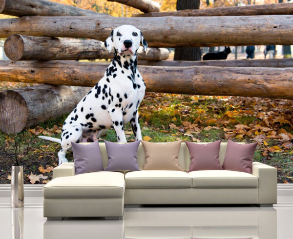 Dalmatian Lying Near Logs Wall Mural