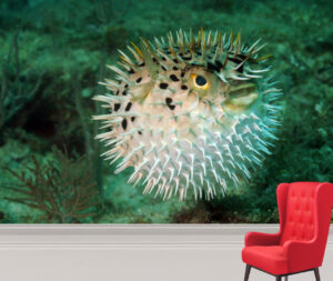 Danger Puffer Fish Wall Mural