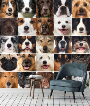 Dogs Memorable Collage Wall Mural