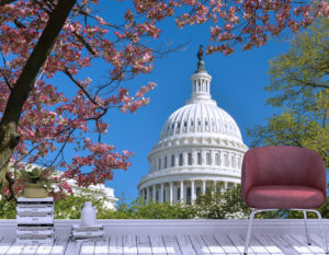 Famous US Capitol Building Wall Mural