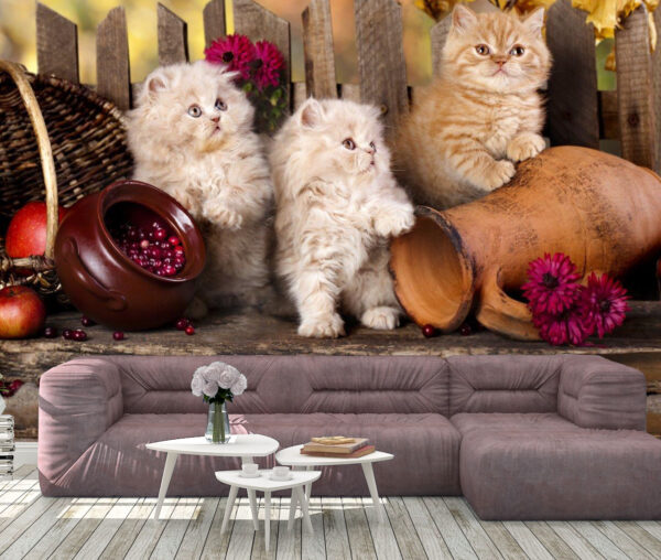 Gorgeous Persian Kittens Wall MuralGorgeous Persian Kittens Wall Mural