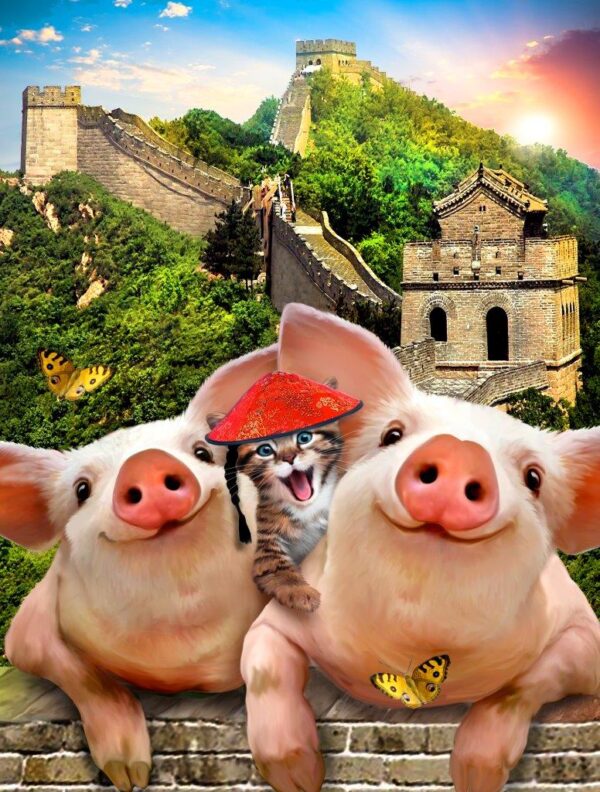 Howard Robinson's Pigs and Cats The Great Wall of China Wall Mural