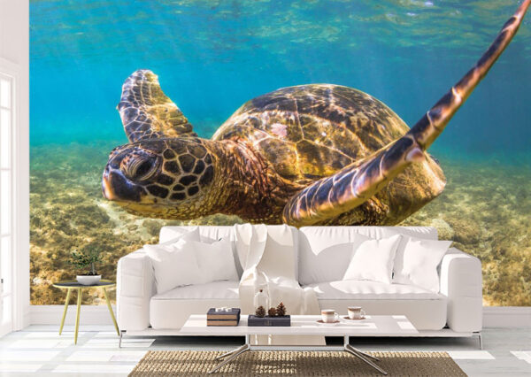 Happy Green Sea Turtle Wall Mural