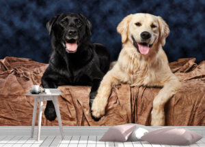 Happy Labrador and Golden Dogs Wall Mural