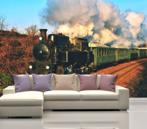 Historic Steam Train Wall Mural