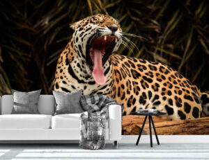 Lazy Jaguar Yawing Brazil Wall Mural