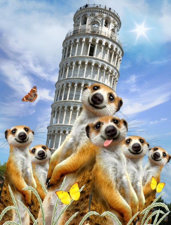 Howard Robinson's Meerkats Leaning Tower Pisa Wall Mural