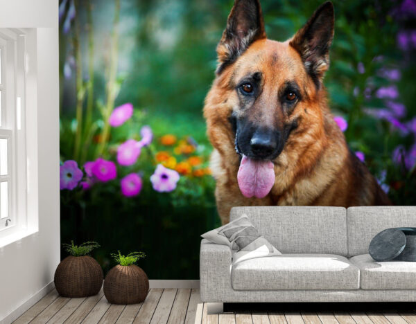 Nice and Innocent German Shepherd Dog Wall MuralNice and Innocent German Shepherd Dog Wall Mural