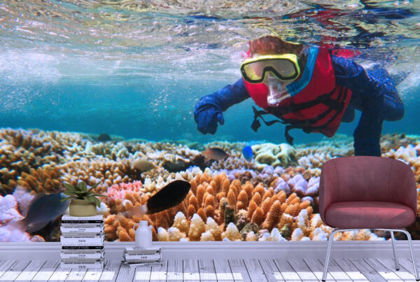 Snorkeling Dive in Great Barrier Wall Mural