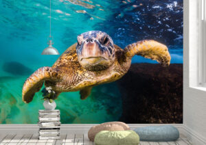 Strong Turtle Cruising Wall Mural