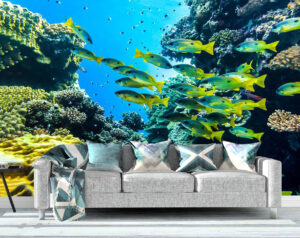 Vibrant Water Shoal Wall Mural