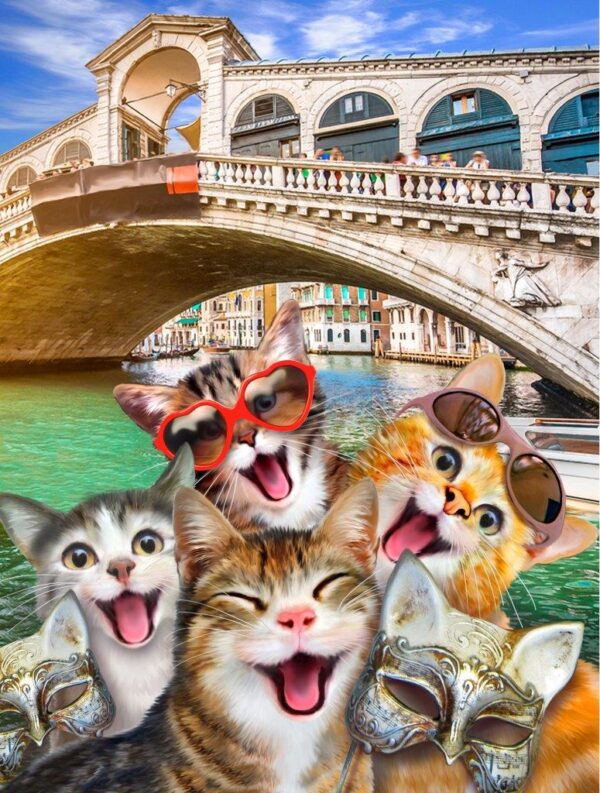 Howard Robinson's Cats Having Fun at Venice Wall Mural