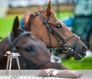 Very Cute Race Horses Wall Mural