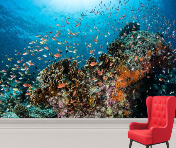 Vibrant Reef Fish Wall Mural